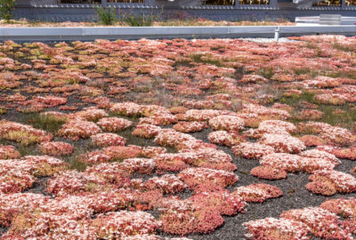 Leteissier Corriol - Agence d'architecture - L’Écocampus Provence de Sainte Tulle dans AMC