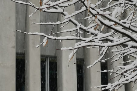 Leteissier Corriol - Agence d'architecture - Gymnase Borrely sous la neige